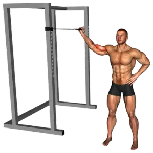 Band Single-Arm Overhead Bicep Curl thumbnail thumbnail