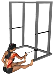 Band Seated Single-Arm Twisting Row thumbnail thumbnail