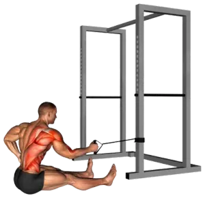 Exercise video 2
