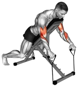 Band Reverse Spider Curl thumbnail thumbnail