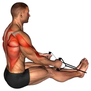 Exercise video 2