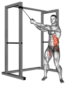 Loop-Band Standing Ab Twist demo video 2