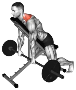 Barbell Decline Shrug thumbnail thumbnail