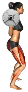 Barbell Squat thumbnail