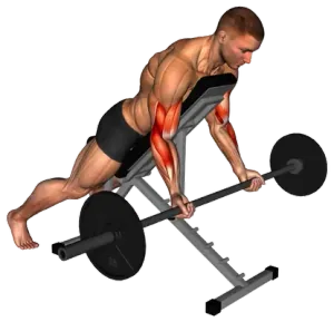 EZ-Bar Incline Curl demo video 2