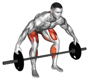 Barbell Reefe Deadlift thumbnail