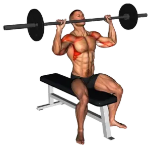 Barbell Seated Overhead Press demo video 2