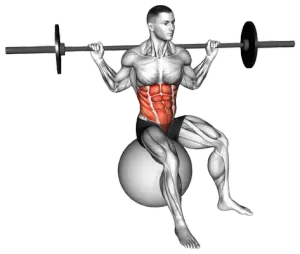Barbell Seated Twist demo video 2