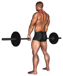Exercise video 2