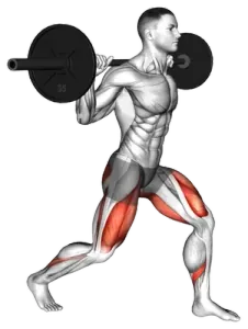 Barbell Split-Squat demo video 2