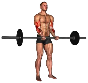Exercise video 2