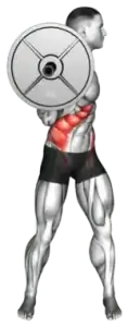 Barbell Standing Twist demo video 2