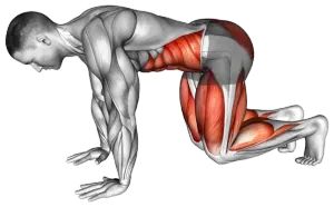 Quadruped Hold Plank demo video 2