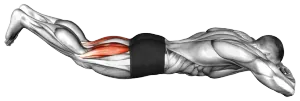 Bodyweight Lying Leg Curl demo video 2