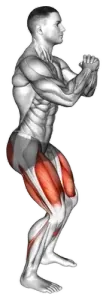 Bodyweight Squat Pulse demo video 2