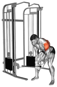 Cable Single-Arm Bent-Over Lateral Raise thumbnail thumbnail