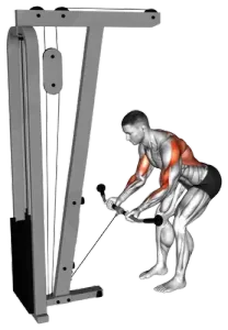 Cable Reverse-Grip Bent-Over Row thumbnail thumbnail