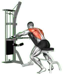 Cable Seated Decline Wide-Grip Row thumbnail thumbnail