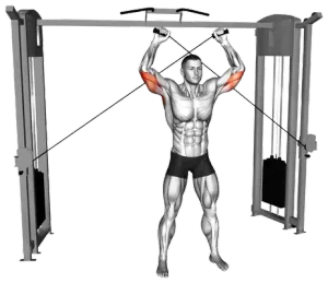 Cable High-Pulley Triceps Extension thumbnail thumbnail