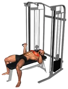 Cable Neutral-Grip Chest Press thumbnail thumbnail