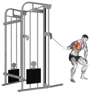 Cable Single-Arm Bent-Over Lateral thumbnail thumbnail