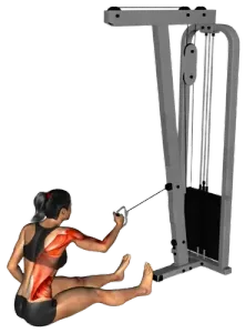 Cable Seated Single-Arm Twisting Row thumbnail