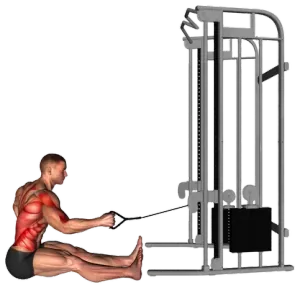 Exercise video 2
