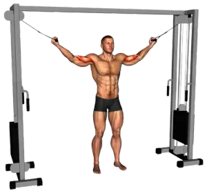 Cable Overhead Curl thumbnail thumbnail