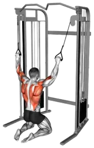Cable Floor Parallel-Grip Lat Pulldown thumbnail thumbnail