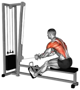 Cable Seated Row Version II demo video 3
