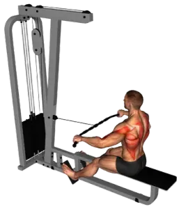 Exercise video 2