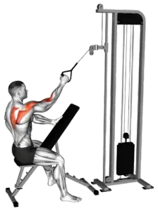 Cable Single-Arm High Scapular Row thumbnail