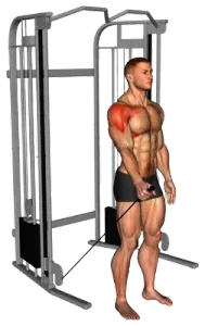 Cable Single-Arm Neutral-Grip Front Raise thumbnail thumbnail