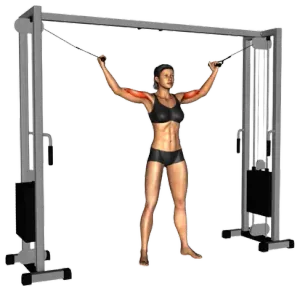 Cable Standing Inner Curl thumbnail thumbnail
