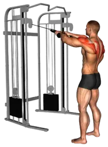 Cable Standing Rear-Delt Row demo video 2