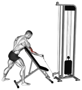 Cable Standing Single-Arm Preacher Curl thumbnail thumbnail