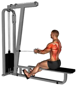 Cable Seated Neutral-Grip Row demo video 2