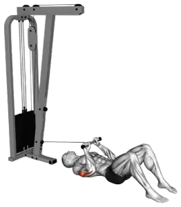 Cable Floor Tricep Pushdown thumbnail thumbnail
