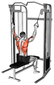 Cable Twin-Handle Parallel-Grip Lat Pulldown thumbnail thumbnail