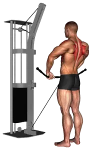 Exercise video 2