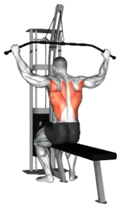Cable Wide-Grip Behind-Neck Rear Pulldown thumbnail thumbnail