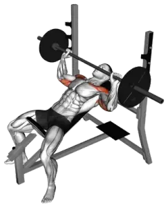 Barbell Incline Pause Bench Press thumbnail thumbnail