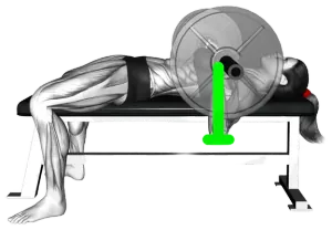 Exercise video 2