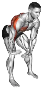 Chest & Back Pull demo video 2
