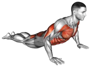 Cobra Stretch demo video 2
