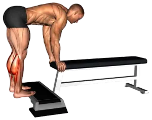 Exercise video 2