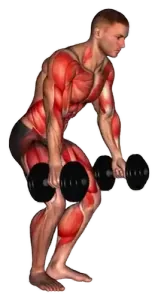 Dumbbell Burpee demo video 2