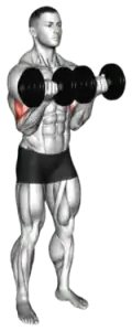 Dumbbell Close-Grip Curl thumbnail thumbnail