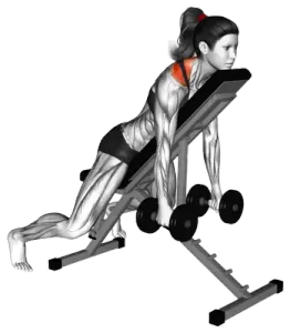 Dumbbell Decline Shrug thumbnail thumbnail