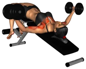 Dumbbell Decline Fly Twist thumbnail thumbnail